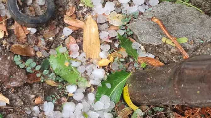 Weather : राज्याच्या विविध भागात वादळी वाऱ्यासह अवकाळी पाऊस, शेती पिकांना मोठा फटका