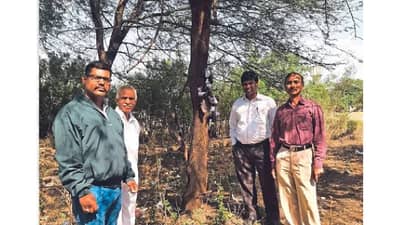 नाशकात खळबळ! बाभळीच्या झाडाला लावल्या होत्या काळ्या बाहुल्या अन् लिंबू...