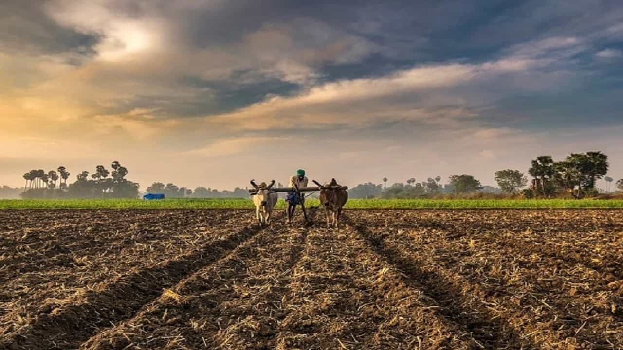 शेतकऱ्यांनो पेरणीची घाई करु नका, हवामान विभाग बघा काय सांगतंय?