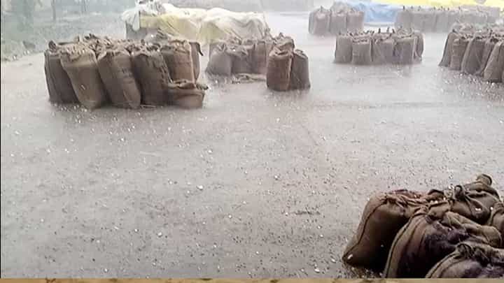 यवतमाळ जिल्ह्यात अवकाळी पावसाचा धिंगाणा; शेतकरी पुन्हा अडचणीत यवतमाळ जिल्ह्यात अवकाळी पावसाचा धिंगाणा; शेतकरी पुन्हा अडचणीत
