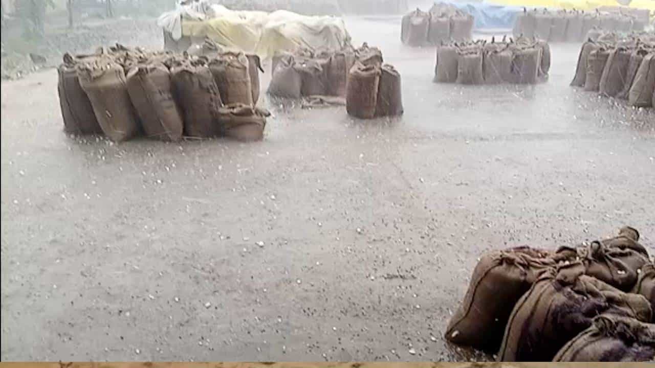 यवतमाळ जिल्ह्यात अवकाळी पावसाचा धिंगाणा; शेतकरी पुन्हा अडचणीत यवतमाळ जिल्ह्यात अवकाळी पावसाचा धिंगाणा; शेतकरी पुन्हा अडचणीत