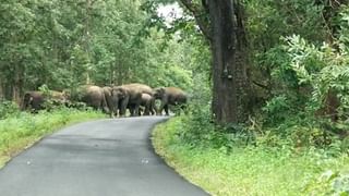 सत्तेत असणाऱ्या भाजप-शिंदे गटात रेल्वे स्थानकाच्या नावावरून वाद; काय आहे प्रकरण?