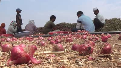 कुठंतरी दिलासा मिळेल असं असताना साखर झोपेत संकट कोसळलं, भल्या पहाटे बळीराजाच्या स्वप्नांना अवकळी धक्का