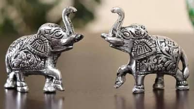 Vastu Tips : ही एक वस्तू घरात ठेवल्याने चुंबकासारखा ठेवला जातो पैसा, घ्यावी लागते या गोष्टीची काळजी