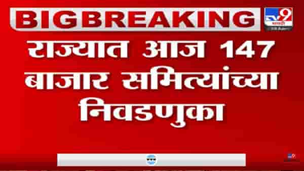 कृषी उत्पन्न बाजार समित्यांच्या निवडणुकीचा धुरळा; राज्यातील 147 बाजार समित्यांसाठी आज मतदान
