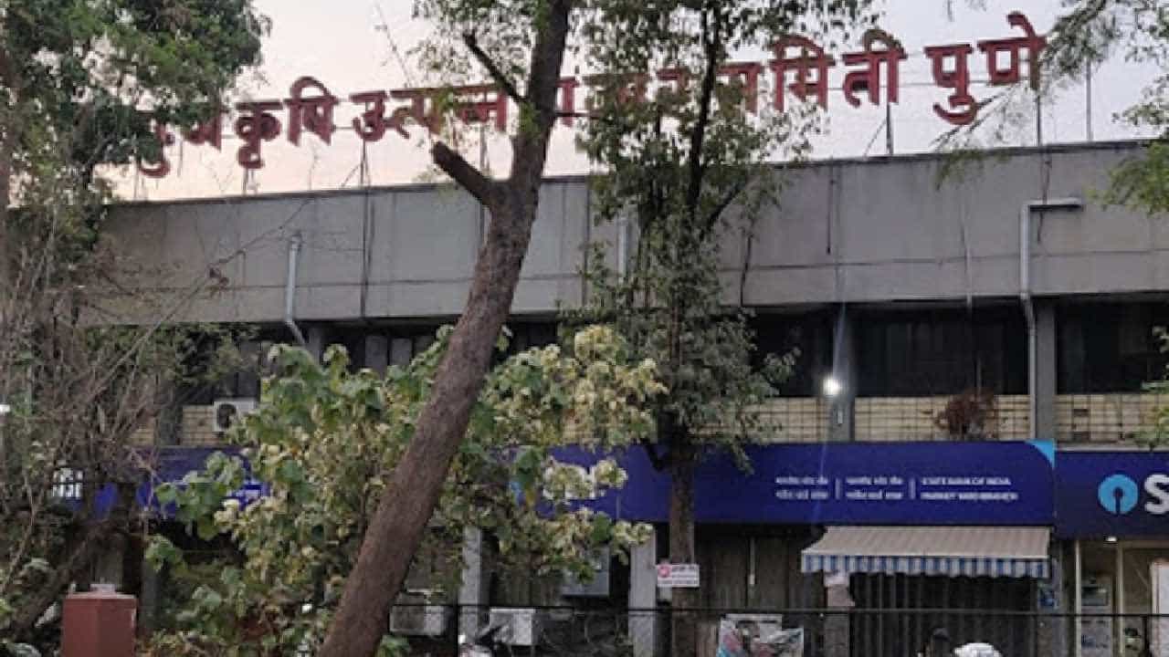 पुण्यात 143 जागांसाठी निवडणूक, 321 जण रिंगणात; कोण बाजी मारणार? जिल्ह्याचं लक्ष