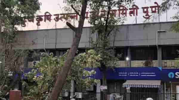 पुण्यात 143 जागांसाठी निवडणूक, 321 जण रिंगणात; कोण बाजी मारणार? जिल्ह्याचं लक्ष