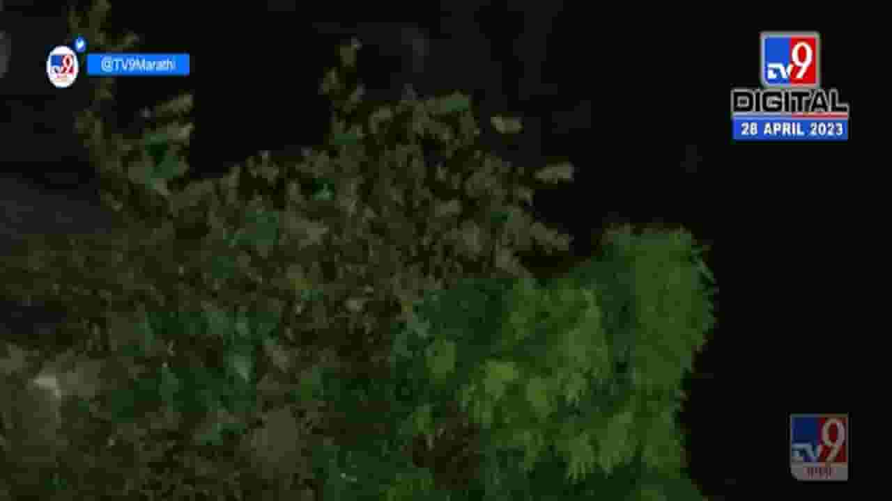 भर उन्हाळ्यात गारवा, 'या' जिल्ह्यात विजेच्या कडकडाटासह जोरदार अवकाळी पाऊस