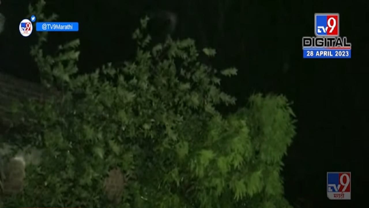 भर उन्हाळ्यात गारवा, 'या' जिल्ह्यात विजेच्या कडकडाटासह जोरदार अवकाळी पाऊस