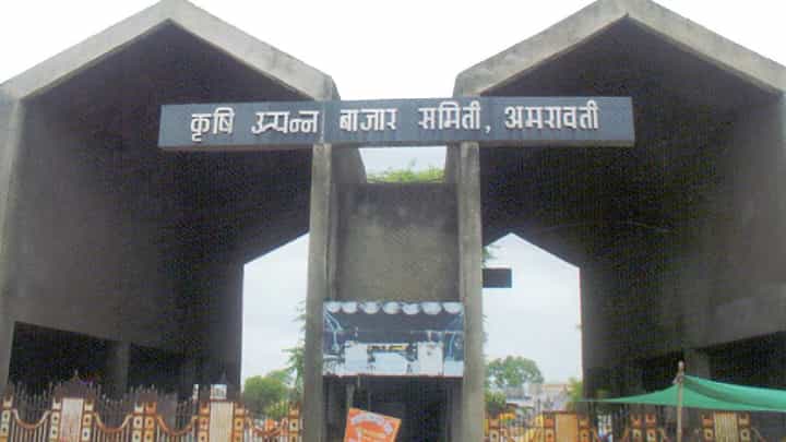 अमरावतीत बाजार समितीसाठी आज मतदान; दोन माजी मंत्री अन् रवी राणा यांची प्रतिष्ठा पणाला अमरावतीत बाजार समितीसाठी आज मतदान; दोन माजी मंत्री अन् रवी राणा यांची प्रतिष्ठा पणाला