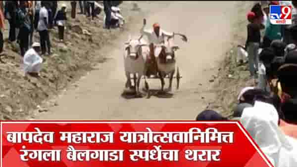 मावळात रंगली छकडी बैलगाडा शर्यत; कुणी मारली बाजी?