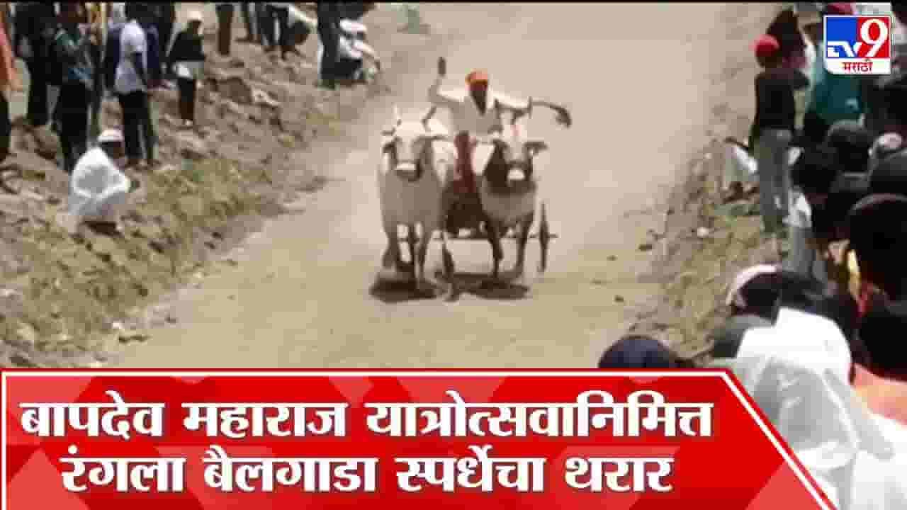 मावळात रंगली छकडी बैलगाडा शर्यत; कुणी मारली बाजी? मावळात रंगली छकडी बैलगाडा शर्यत; कुणी मारली बाजी?