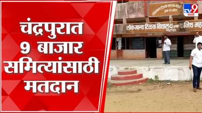 आज कृषी उत्पन्न बाजार समितीची निवडणूक चंद्रपुरात काय स्थिती? पाहा व्हीडिओ…