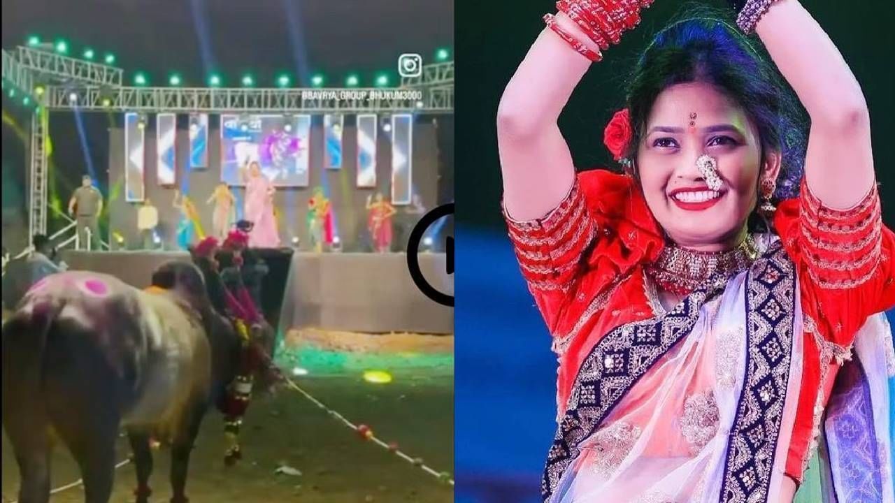 सबसे कातिल गौतमी पाटील हिच्या कार्यक्रमाला फक्त बैलच का होता?; कारण आलं समोर सबसे कातिल गौतमी पाटील हिच्या कार्यक्रमाला फक्त बैलच का होता?; कारण आलं समोर