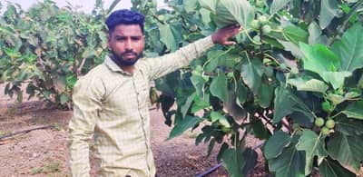 पुणे येथील युवकाची करामत, नोकरी सोडून सुरु केली शेती, वाचा किती सुरु झाली कमाई