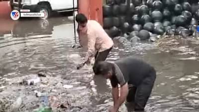 अवकाळी पावसानं हाहाकार, शेताचं तळं तर रस्त्यावर साचलं गुडघाभर पाणी