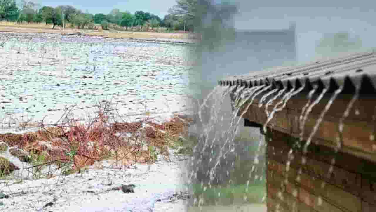 राज्यातल्या या भागाला वादळी वाऱ्यासह गारपिटीने झोडपले; अनेक ठिकाणी शेतीचे नुकसान, बळीराजाला चिंतेचं ग्रहण