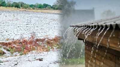 राज्यातल्या या भागाला वादळी वाऱ्यासह गारपिटीने झोडपले; अनेक ठिकाणी शेतीचे नुकसान, बळीराजाला चिंतेचं ग्रहण