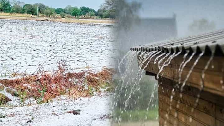 राज्यातल्या या भागाला वादळी वाऱ्यासह गारपिटीने झोडपले; अनेक ठिकाणी शेतीचे नुकसान, बळीराजाला चिंतेचं ग्रहण राज्यातल्या या भागाला वादळी वाऱ्यासह गारपिटीने झोडपले; अनेक ठिकाणी शेतीचे नुकसान, बळीराजाला चिंतेचं ग्रहण