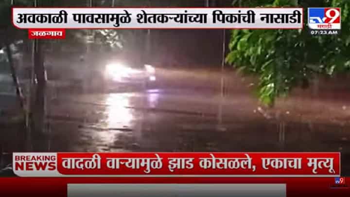 सलग दोन दिवस गारपीटसह वादळी वाऱ्याने जळगावला झोडपलं; पिकांचं मोठं नुकसान सलग दोन दिवस गारपीटसह वादळी वाऱ्याने जळगावला झोडपलं; पिकांचं मोठं नुकसान