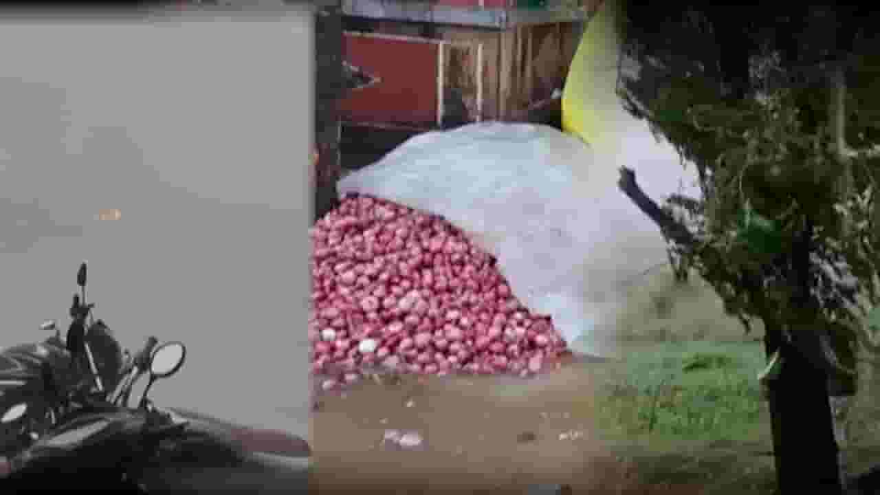 वादळं, गारा अन् अवकाळीचा हाहाकार, शेतपिकांसह फळबागांचं मोठं नुकसान; दोघांचा मृत्यू वादळं, गारा अन् अवकाळीचा हाहाकार, शेतपिकांसह फळबागांचं मोठं नुकसान; दोघांचा मृत्यू