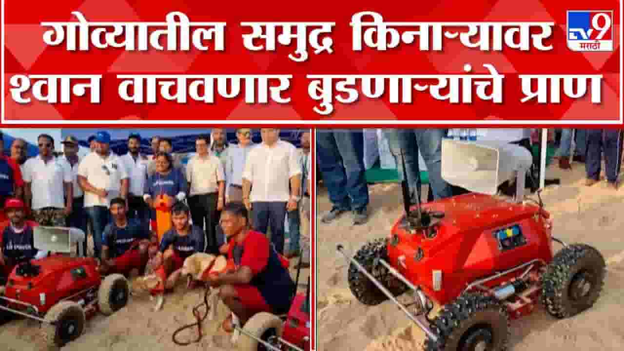 गोव्यातील समुद्रकिनाऱ्यावर एआय तंत्रज्ञानाचा वापर; आता श्वान वाचवणार लोकांचे जीव गोव्यातील समुद्रकिनाऱ्यावर एआय तंत्रज्ञानाचा वापर; आता श्वान वाचवणार लोकांचे जीव