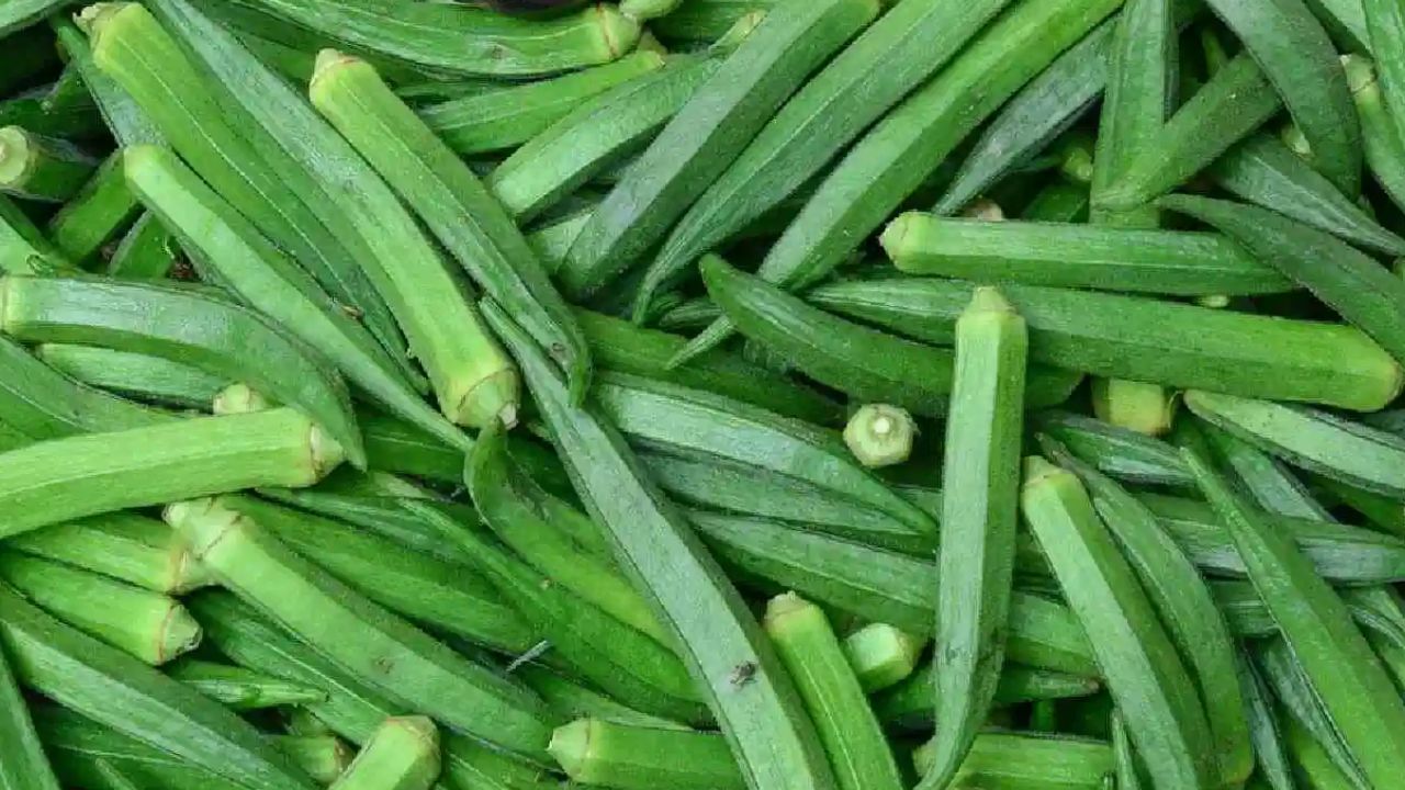 भेंडी खाण्याचे फायदे वाचून आताच खावू वाटेल भेंडीची भाजी, गर्भवती महिलांनी... जाणून घ्या