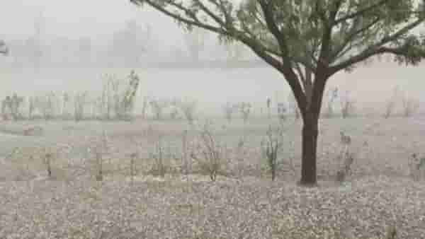 Weather Update : या राज्यातील 31 जिल्ह्यांमध्ये 5 मे पर्यंत यलो अलर्ट जारी, बर्फवृष्टी झाल्याने लोकं म्हणाले...