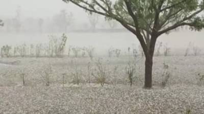 Weather Update : या राज्यातील 31 जिल्ह्यांमध्ये 5 मे पर्यंत यलो अलर्ट जारी, बर्फवृष्टी झाल्याने लोकं म्हणाले...