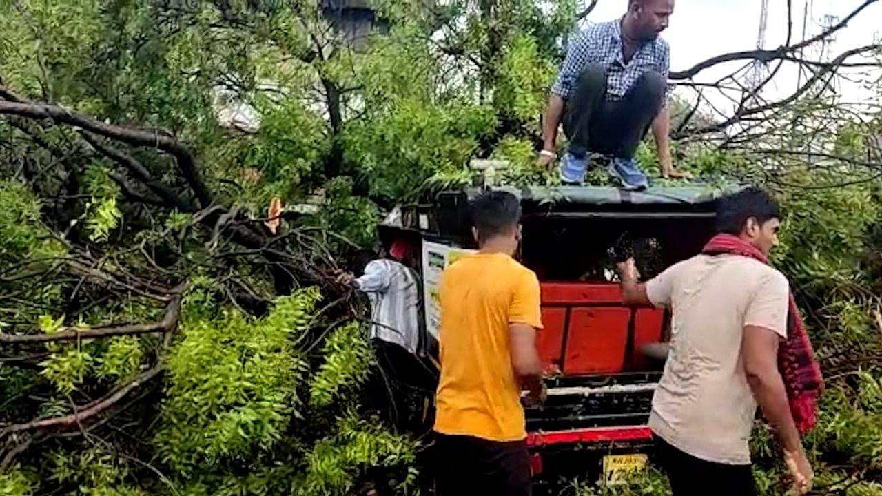 जळगाव जिल्ह्यात अवकाळी पावसाचा कहर, घराचे पत्रे उडाले तर झाडं कोसळ्यानं रस्ते बंद