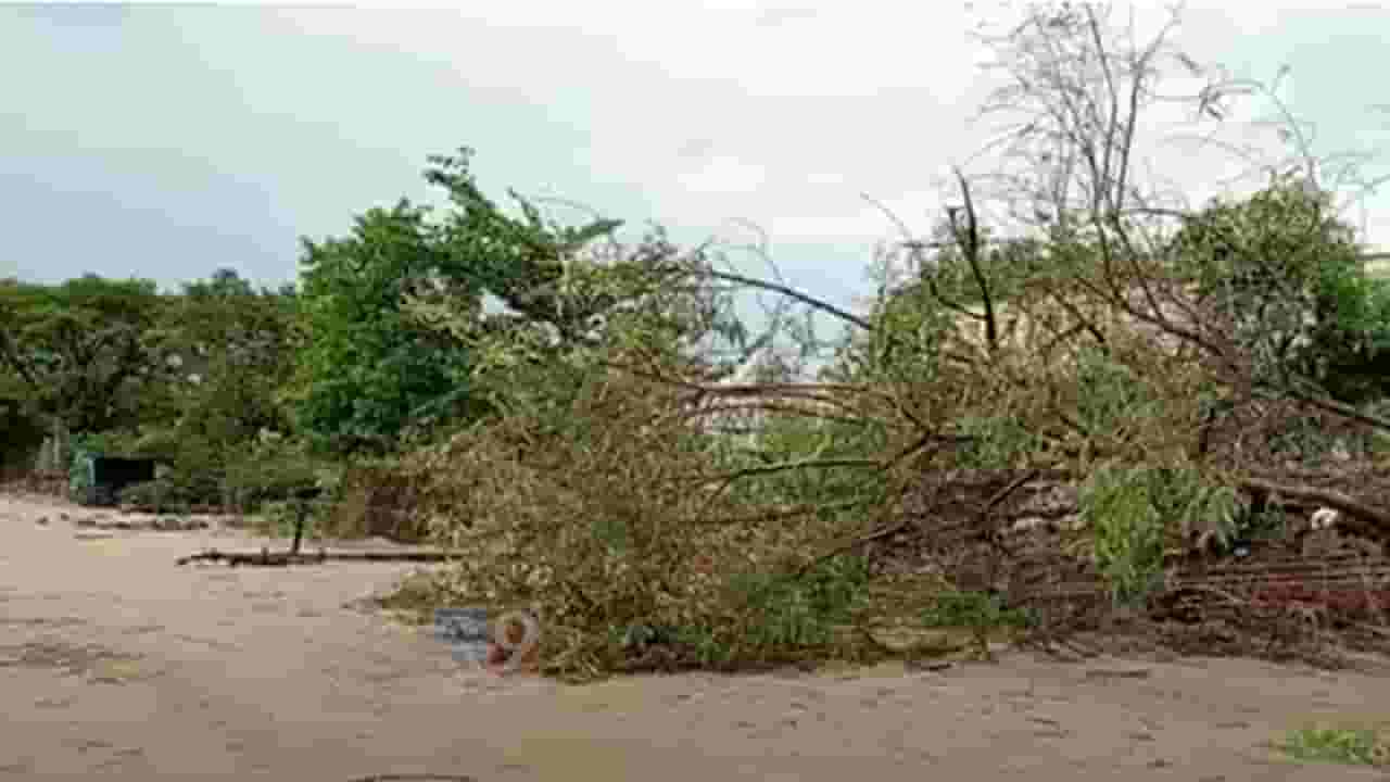 नांदेडच्या बिलोली तालुक्याला अवकाळीनं झोडपलं, फळबागांसह घरांचं नुकसान