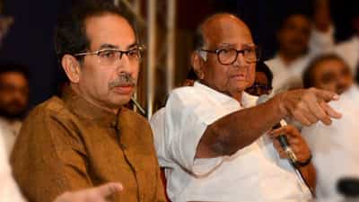 अजित पवार यांच्या बंडावर भाजप नेता म्हणतो, “जे शिवसेनेत झालं, तेच राष्ट्रवादीत होणार”