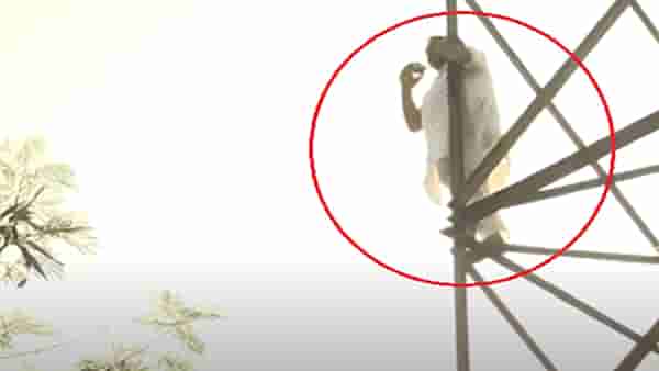 महाराष्ट्र दिनी कुठं झालं ‘शोले स्टाईल’ आंदोलन, काय केली मागणी?