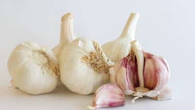 लसूण जास्त का खाऊ नये?