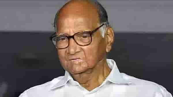 आमच्यासारख्यांना शरद पवार यांचं नेतृत्व हवं हवसं; ठाकरे गटाच्या नेत्यानं पवारांचं नेतृत्व अधोरेखित केलं