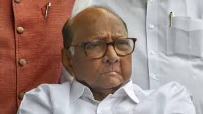 पवारांचे चेले आता आंदोलन करतील आणि...; हा निर्णय शरद पवार यांच्या राजकारणाचा एक भाग, या नेत्याने नेमकं ते सांगितलं