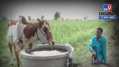 ‘तो’ दिव्यांग नाही तर आत्मनिर्भर, बघा त्याची जिद्द अन् प्रेरणादायी कहाणी