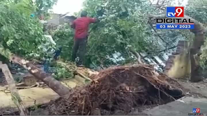 वादळी वाऱ्यासह अवकाळीचा कहर, रेल्वे स्थानकावरील पत्रे उडाले अन् झाडं उन्मळून पडली वादळी वाऱ्यासह अवकाळीचा कहर, रेल्वे स्थानकावरील पत्रे उडाले अन् झाडं उन्मळून पडली
