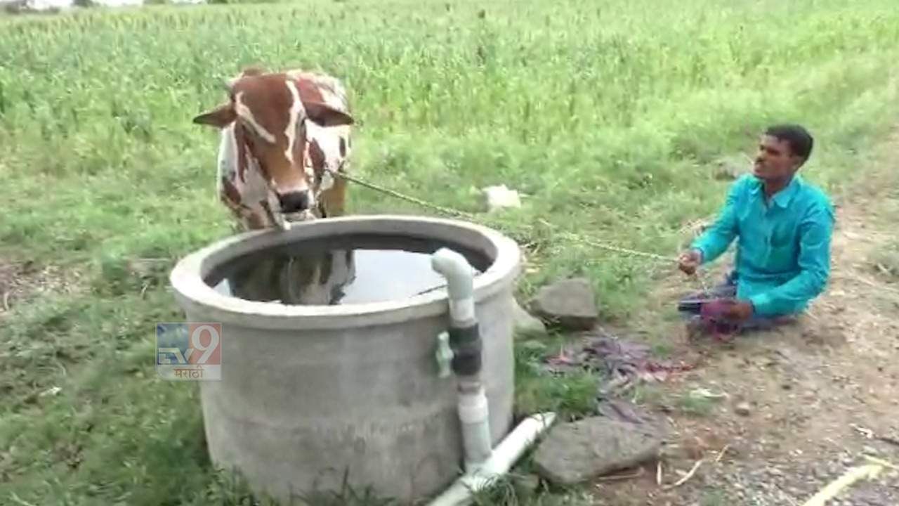 दोन्ही पाय अपंग, ठरवलं भीक मागायचं नाही, अपंग युवकाची प्रेरणादायी कहाणी