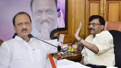 नात असलं तरिही, राजकारणात…; राऊत यांनी पुन्हा एकदा अजित पवार यांना डिवचलं