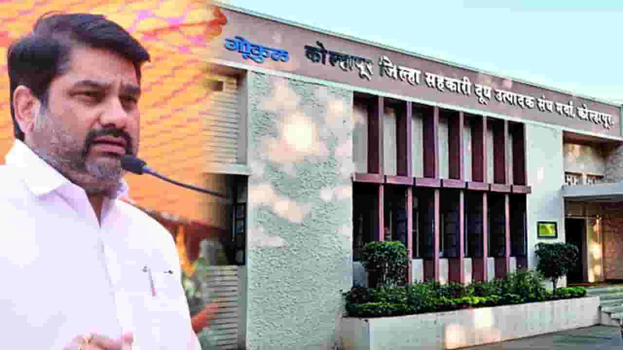 बंटी पाटलांना महाडिकांचा दुसरा दनका!; न्यायालयाने दिला गोकुळबाबत 'हा' आदेश