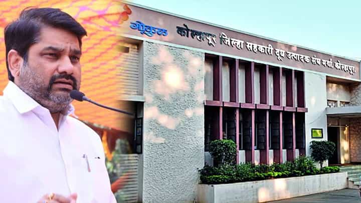 बंटी पाटलांना महाडिकांचा दुसरा दनका!; न्यायालयाने दिला गोकुळबाबत 'हा' आदेश बंटी पाटलांना महाडिकांचा दुसरा दनका!; न्यायालयाने दिला गोकुळबाबत 'हा' आदेश