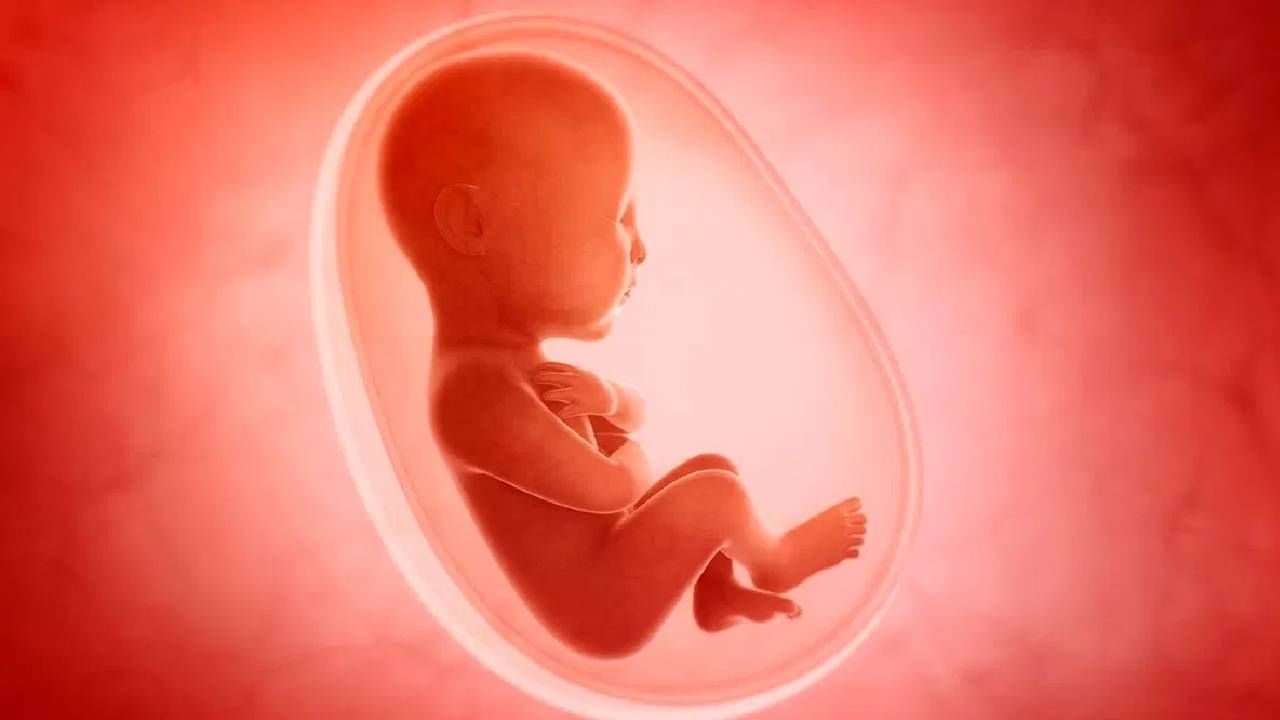 Brain Surgery in Womb : आईच्या गर्भातील बाळाची केली यशस्वी ब्रेन सर्जरी, जाणून घ्या कसं झालं अनोखं ऑपरेशन?