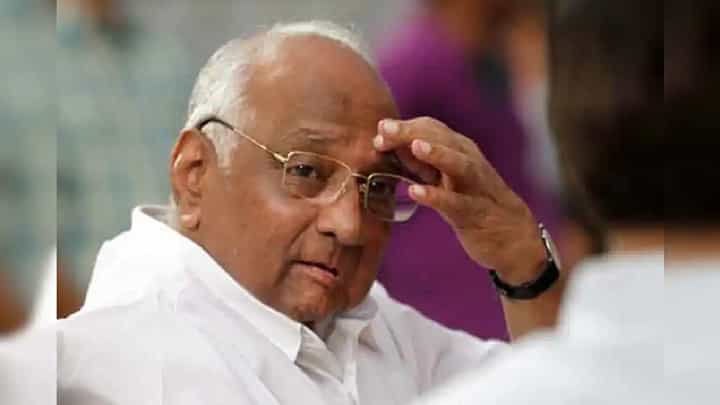 'टायगर इज बँक', शरद पवार यांच्या निर्णयानंतर कार्यकर्त्यांची घोषणा 'टायगर इज बँक', शरद पवार यांच्या निर्णयानंतर कार्यकर्त्यांची घोषणा