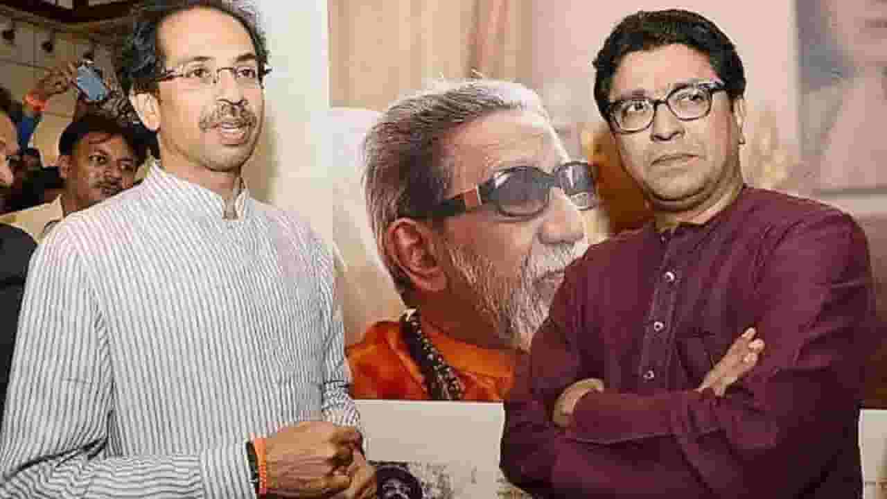 राज-उद्धव ठाकरे एकत्र येणार? काय म्हणाला ठाकरे गटाचा नेता?