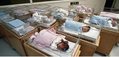 बिरबलाच्या कथेतील त्या पात्रांची पुनरावृत्ती, दोन मातांचा मुलांवर दावा, आता निर्णय का रखडला?