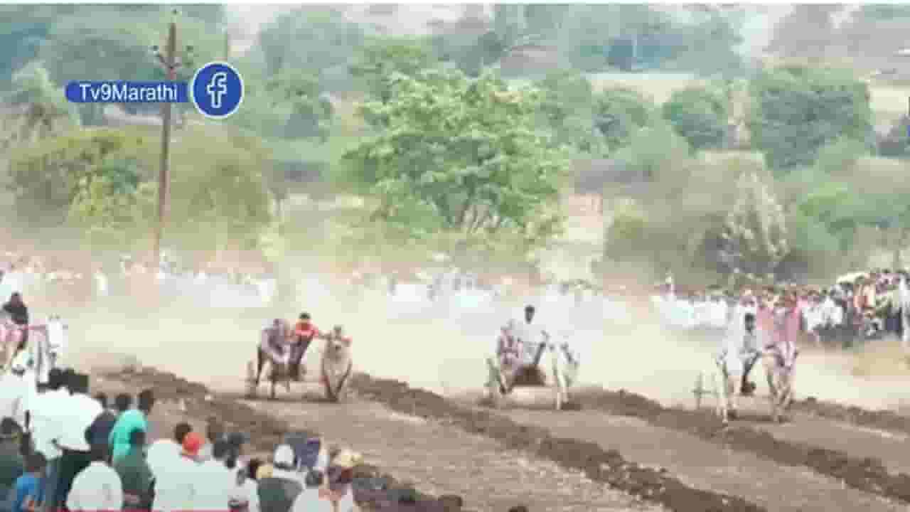 Pune Bhor | हुर्ररररर... यमाई देवीच्या यात्रेत रंगला बैलगाडा शर्यतीचा थरार, बघा व्हिडीओ