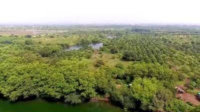 नाशिकमध्ये पुन्हा 29 उंट ताब्यात, पांजरपोळच्या जंगलात उंटांची संख्या 111 वर; मोठं रॅकेट उघडकीस येण्याची शक्यता