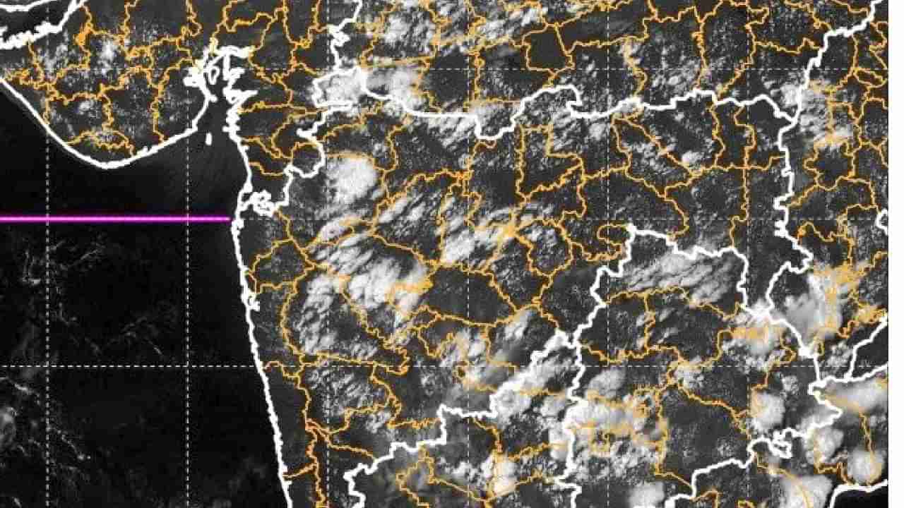 imd alerts weather updates : पुण्यात यलो अलर्ट, राज्यात कशी असणार परिस्थिती