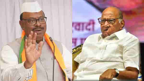 अजित पवार यांच्यानंतर शरद पवार भाजपसोबत येणार? चंद्रशेखर बावनकुळे यांचं सूचक विधान